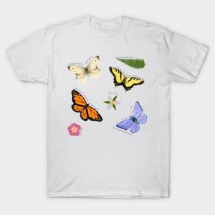 Butterflies and Blooms T-Shirt
